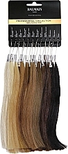 Hair Extensions - Balmain Paris Coloring Human Hair Professional Collection — photo N1