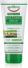 Repair Conditioner - Equilibra Tricologica Repair Restructuring Conditioner — photo N1