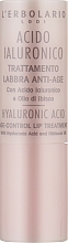 Fragrances, Perfumes, Cosmetics Moisturizing & Nourishing Lipstick with Hyaluronic Acid - L'Erbolario Hyaluronic Acid Age-Control Lip