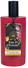 Fragrances, Perfumes, Cosmetics The English Soap Company Osmanthus Rose - Eau de Toilette