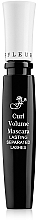 Fragrances, Perfumes, Cosmetics Mascara M560 - FFleur Curling Volume Mascara 