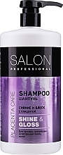 Dull Hair Shampoo - Salon Professional Shine and Gloss — photo N4