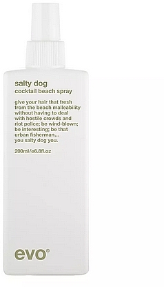 Texturizing Hair Spray - Evo Salty Dog Salt Spray — photo N3