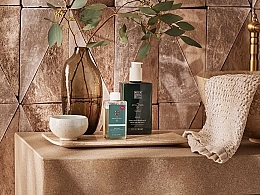 Concentrated Hand Soap (refill) - Rituals The Ritual of Jing Concentrated Refill Hand Wash — photo N2