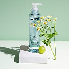 Micellar Water - Caudalie Vinoclean Micellar Cleansing Water — photo N2