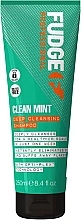 Deep Cleansing Shampoo - Fudge Clean Mint Shampoo — photo N1