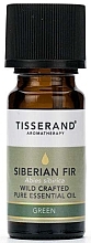 Fragrances, Perfumes, Cosmetics Siberian Fir Essential Oil - Tisserand Aromatherapy Siberian Fir Wild Crafted Pure Essential Oil