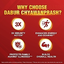 Chyawanprash Dietary Supplement for Immune Health - Dabur Chyawanprash 3X Immunity Action — photo N3