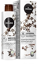 Fragrances, Perfumes, Cosmetics Strengthening Hair Shampoo "Alfalfa" - Ziolove