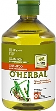 Strengthening Hair Shampoo with Calamus Root Extract - O'Herbal — photo N3