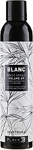 Volume Hair Spray - Black Professional Line Blanc Volume Up Root Spray — photo N1