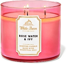 Bath and Body Works Rose Water & Ivy White Barn - Scented Candle — photo N1