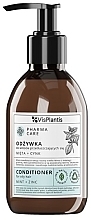 Fragrances, Perfumes, Cosmetics Mint+Zinc Conditioner for Oily Hair - Vis Plantis Pharma Care Mint + Zinc Conditioner