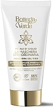 Face Mask - Bottega Verde Petali Di Giglio Gel Face Mask — photo N1