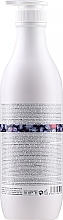 Shampoo for Gray & Blonde Hair - Milk Shake Special Silver Shine Shampoo — photo N4