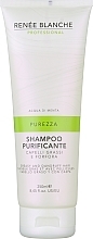 Fragrances, Perfumes, Cosmetics Anti-Dandruff Shampoo for Oily Hair - Renee Blanche Shampoo Purificante