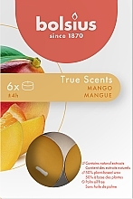 Fragrances, Perfumes, Cosmetics マンゴーティーライトセット、4H - Bolsius Mango Candle	