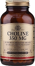 Dietary Supplement "Choline" - Solgar Choline 350 mg — photo N1