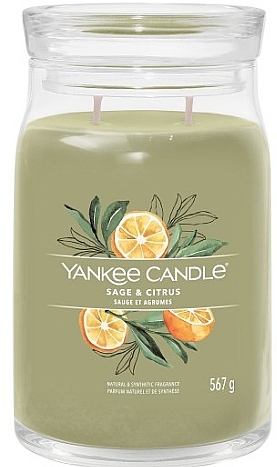 Scented Candle in Jar 'Sage & Citrus', 2 wicks - Yankee Candle Singnature — photo N1