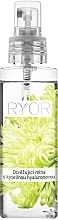 Refreshing Hyaluronic Acid Mist - Ryor — photo N2