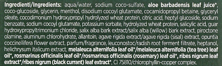 Anti-Dandruff Shampoo - BiosLine BioKap Anti-Dandruff Shampoo — photo N18