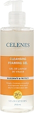 Fragrances, Perfumes, Cosmetics Sea Buckthorn Gel Foam for Oily & Combination Skin - Celenes Sea Buckthorn Cleansing Gel Oily and Combination Skin