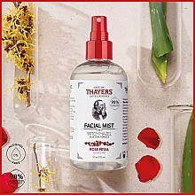 Witch Hazel Tonic Spray with Aloe Vera & Rose Petals Formula - Thayers Alcohol-free Witch Hazel Facial Mist Toner With Aloe Vera Formula Rose Petal — photo N3