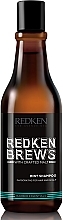 Hair Shampoo - Redken Brews Mint Shampoo — photo N8