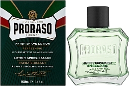 After Shave Lotion with Menthol and Eucalyptus - Proraso Green After Shave Lotion — photo N2