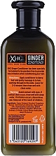 Sulfate-Free Ginger Conditioner - Xpel Marketing Ltd Ginger Conditioner — photo N2