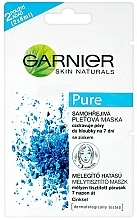 Face Mask - Garnier Skin Naturals Pure Mask — photo N4