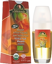 Fragrances, Perfumes, Cosmetics Prickly Pear Macerate - Efas Saharacactus Macerat Opuntia Ficus in Argan Oil