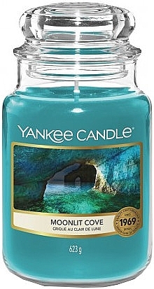 Scented Candle in Jar - Yankee Candle Moonlit Cove — photo N8
