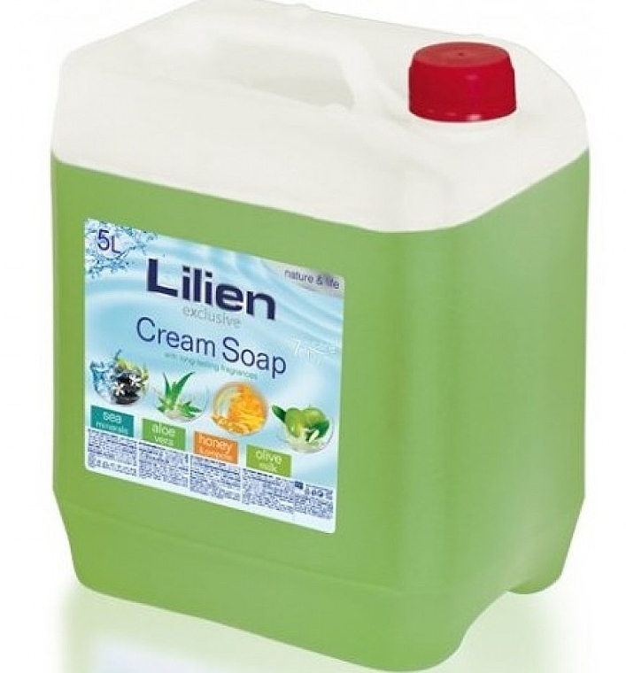 Liquid Cream-Soap 'Aloe Vera' - Lilien Aloe Vera Cream Soap (canister) — photo N1