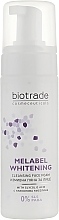 Whitening Face Cleansing Foam - Biotrade Melabel Cleansing Face Foam — photo N9