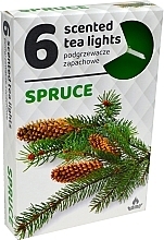 Spruce Tealights, 6 pcs - Admit Scented Tea Light Spruce — photo N1