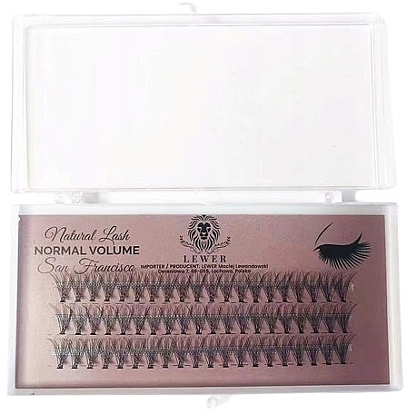 Lewer Natural Lash Normal Volume San Francisco - Individual False Lashes, 12 mm C, 60 pcs — photo N1