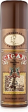 Parfums Parour Cigar - Perfumed Men Deodorant — photo N1