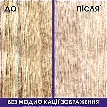 Toning Shampoo for Blonde, Highlighted and Silver Hair - L'Oreal Paris Elseve Purple — photo N23