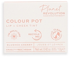 Cheek & Lip Blush - Planet Revolution The Colour Pot Lip + Cheek Tint — photo N3