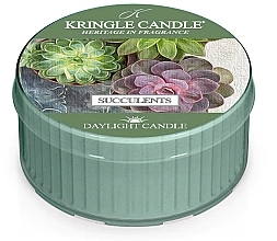 Fragrances, Perfumes, Cosmetics Tea Candle - Kringle Candle Succulents DayLight Candle