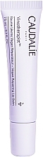 Fragrances, Perfumes, Cosmetics Repair Lip Balm - Caudalie Vinotherapist Vegan Repairing Lip Balm