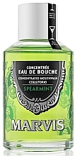Fragrances, Perfumes, Cosmetics Spreamint Mouthwash - Marvis Concentrate Spreamint Mouthwash 