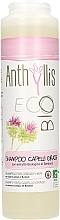 Oily Hair Shampoo - Anthyllis for Oily Hair Shampoo — photo N1