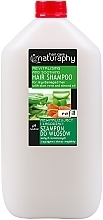 Aloe Vera & Almond Shampoo for Dry & Damaged Hair - Naturaphy Hair Shampoo Refill — photo N3