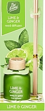 Fragrances, Perfumes, Cosmetics Reed Diffuser 'Lime & Ginger' - Pan Aroma Lime & Ginger Reed Diffuser