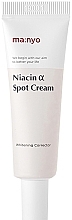 Whitening Cream - Manyo Factory Niacin Alpha & Spot Cream — photo N1