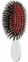 Fragrances, Perfumes, Cosmetics Hair Brush with Natural Bristles, small, silver - Janeke Silver Hairbrush