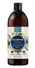 Mint Shampoo - Barwa Magic Herbs Shampoo — photo N1