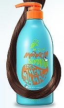 Fragrances, Perfumes, Cosmetics Argan Oil Shampoo - Mizon Moroccan Blending Treatment Shampoo